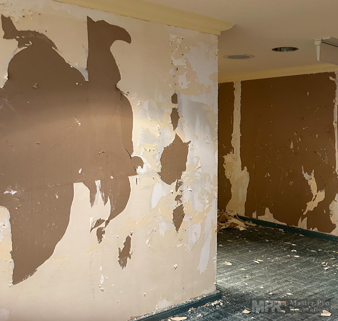 Pacifica-Ballrooms-Renovation-Project-ACT-TIles-replacement-After-Master-Pro-Renovations-2